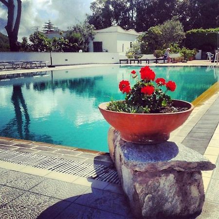 Hotel Al Bosco Forio di Ischia Eksteriør bilde