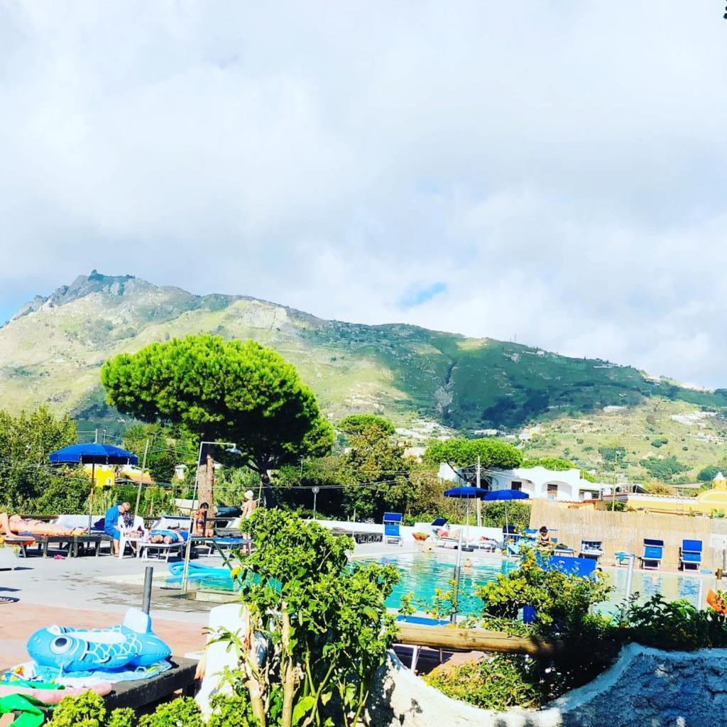 Hotel Al Bosco Forio di Ischia Eksteriør bilde
